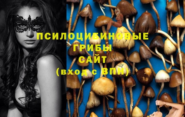 соль ск Алексин