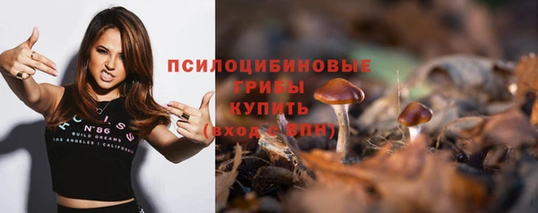 МДПВ Алзамай