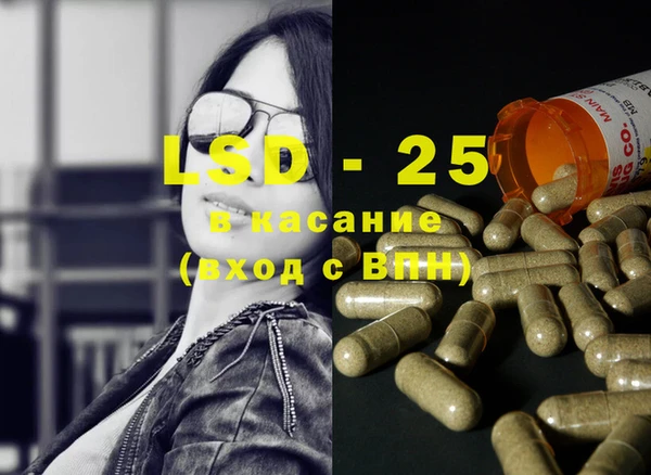спайс Пересвет