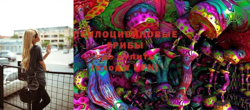 Галлюциногенные грибы Cubensis  где купить   Льгов 